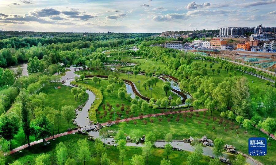 （新華全媒頭條·聚焦生物多樣性大會(huì)·圖文互動(dòng)）（4）攜手同行，開啟人類高質(zhì)量發(fā)展新征程——習(xí)近平主席在《生物多樣性公約》第十五次締約方大會(huì)領(lǐng)導(dǎo)人峰會(huì)上的主旨講話解讀