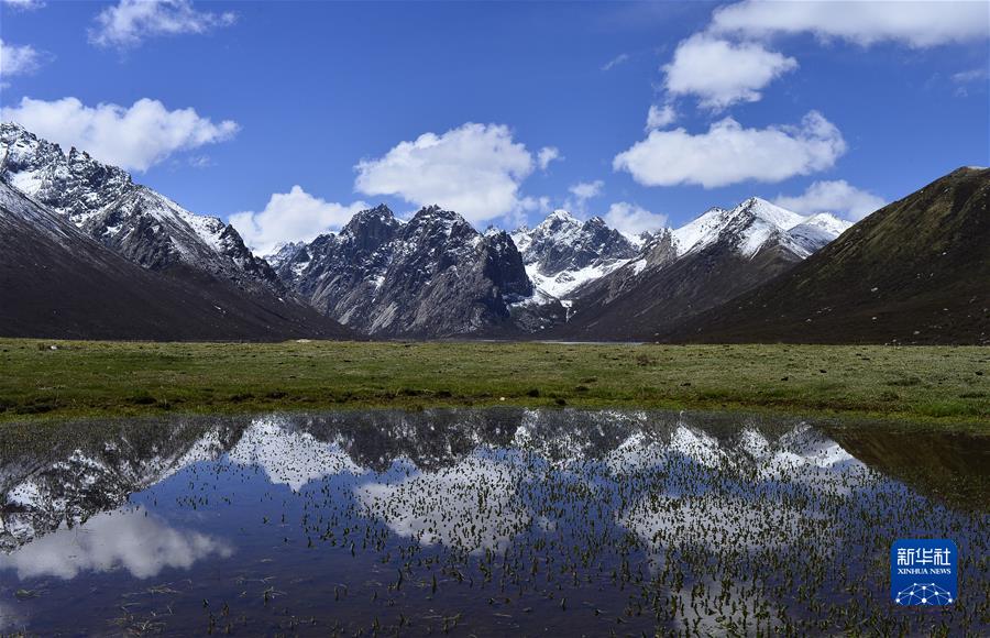 （新華全媒頭條·聚焦生物多樣性大會(huì)·圖文互動(dòng)）（7）攜手同行，開啟人類高質(zhì)量發(fā)展新征程——習(xí)近平主席在《生物多樣性公約》第十五次締約方大會(huì)領(lǐng)導(dǎo)人峰會(huì)上的主旨講話解讀